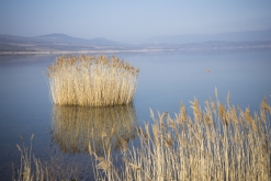 Fotogalerie: Veřejné setkání nad soutěžním návrhem jezera Milada